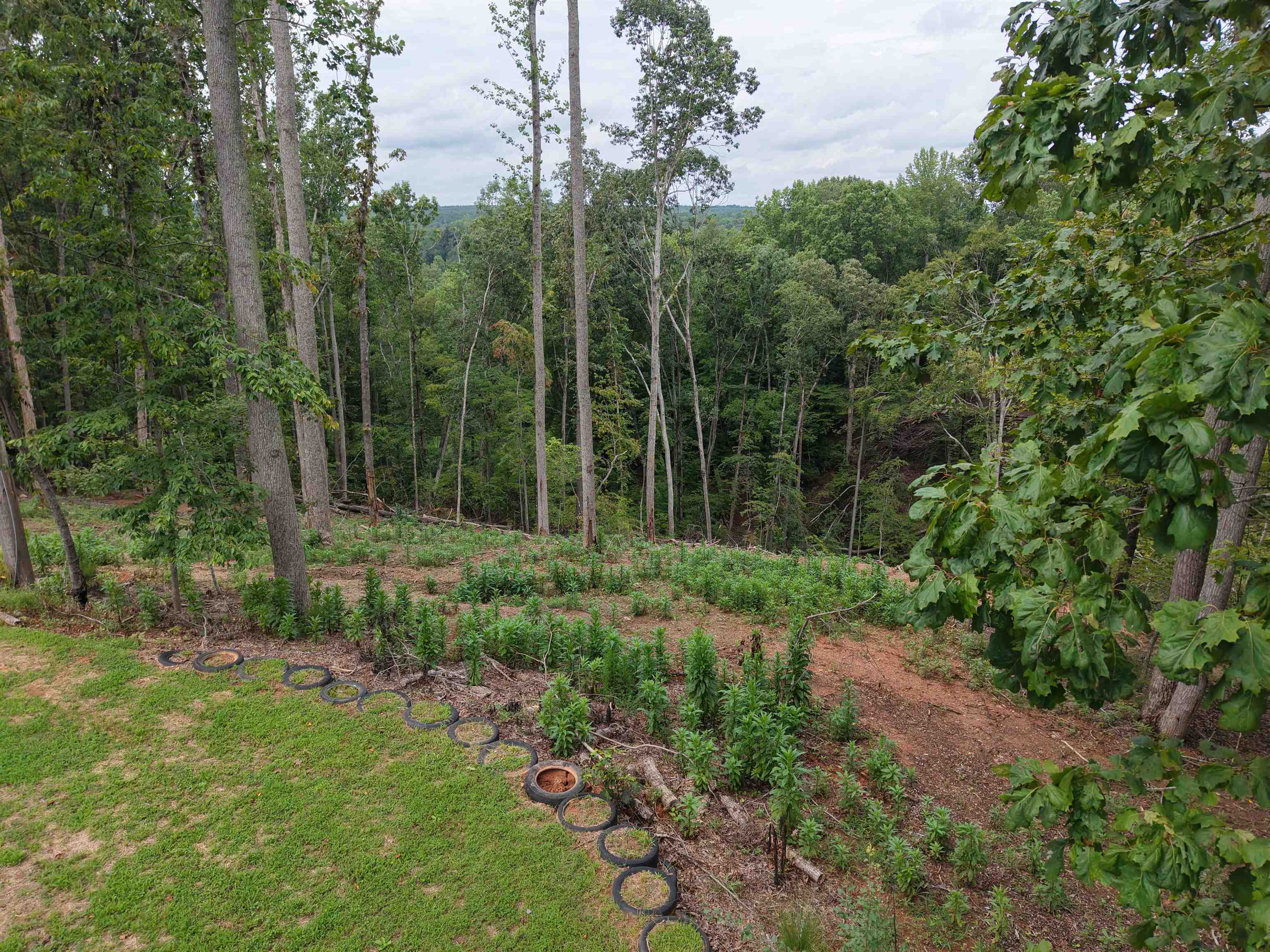 380 Indian Creek Road Spartanburg, SC 29302 - Photo 48 of 48