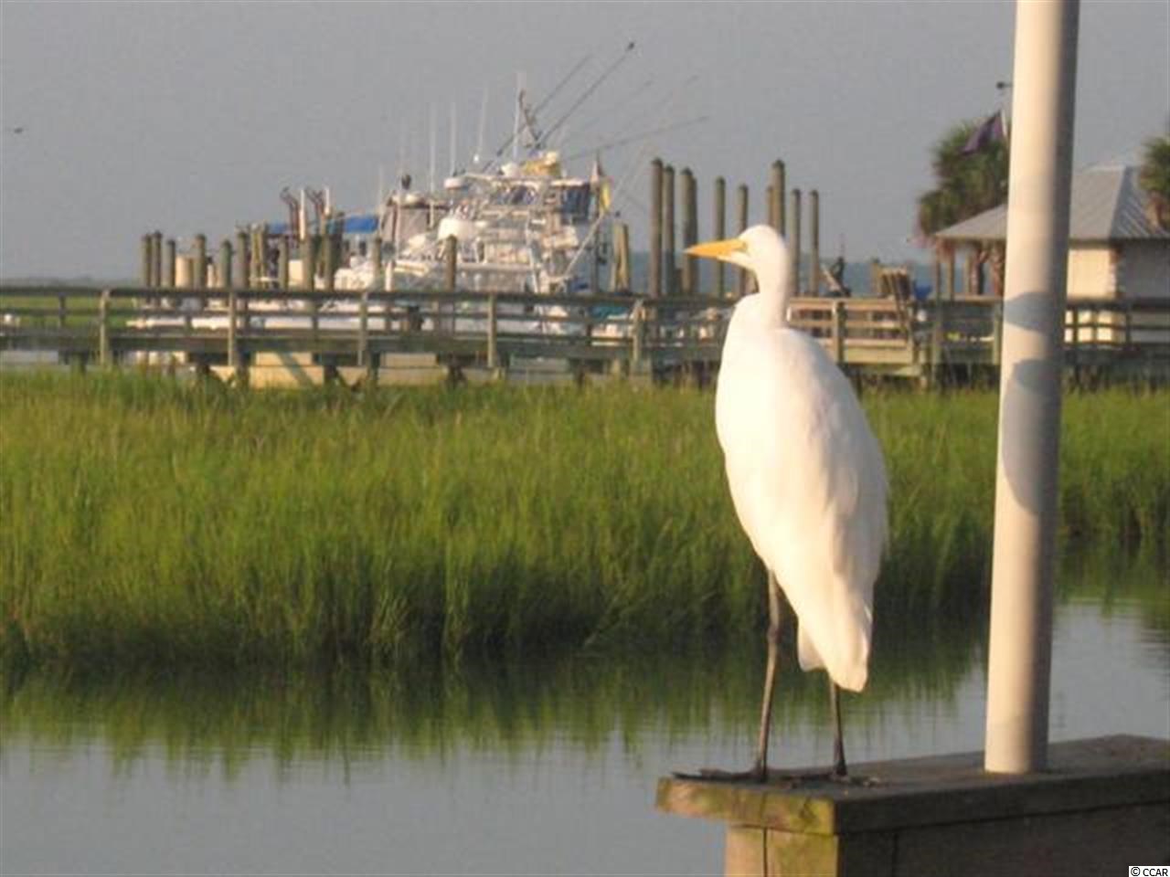 38 Grey Moss Road Murrells Inlet, SC 29576 - Photo 11 of 15 Gallery Image 11