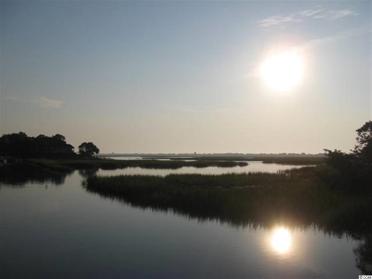 38 Grey Moss Road Murrells Inlet, SC 29576 - Photo 15 of 15 Gallery Image 15