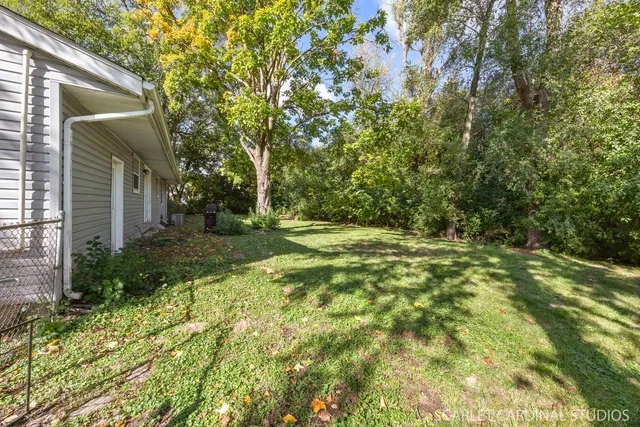 a view of a yard with plants and large trees