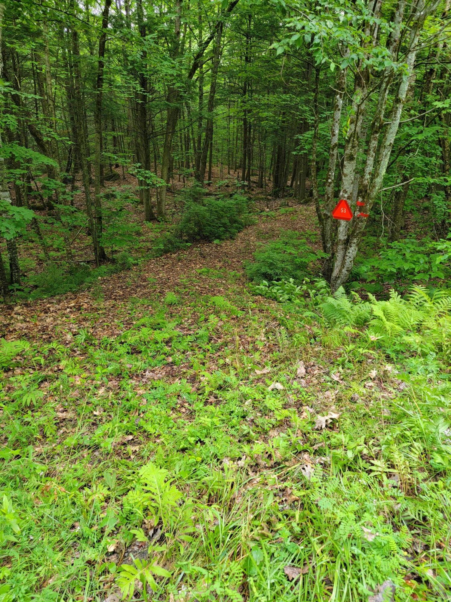 Lot 60 Shore Road Fayette, ME 04349 - Photo 10 of 12 20210715_085626