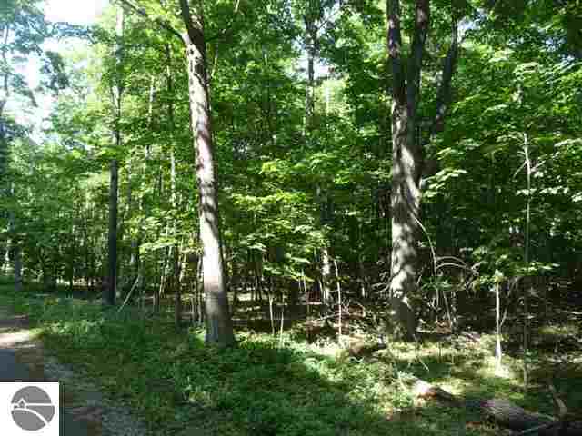 8 North Omena Point Road Omena, MI 49674 - Photo 13 of 13 1748546-13.JPG