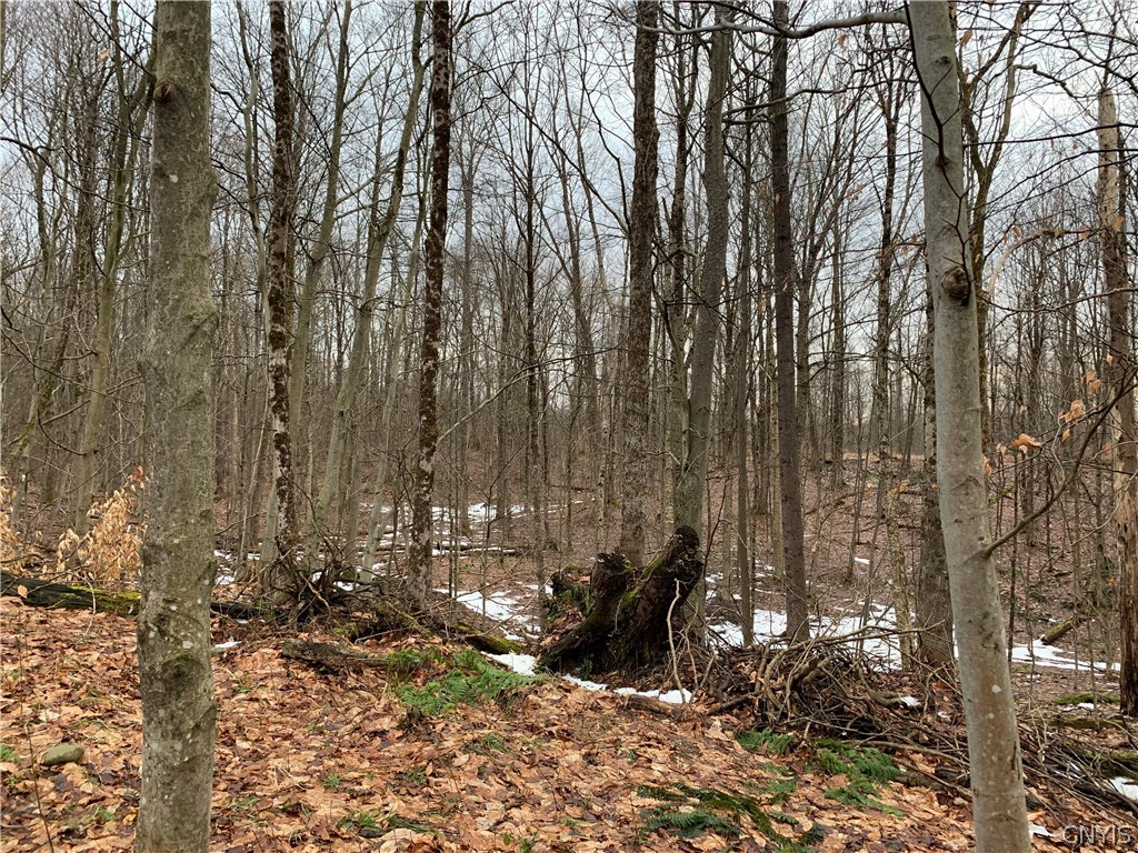 0 Maple Landing Road Albion, NY 14411 - Photo 12 of 16 Gallery Image 12