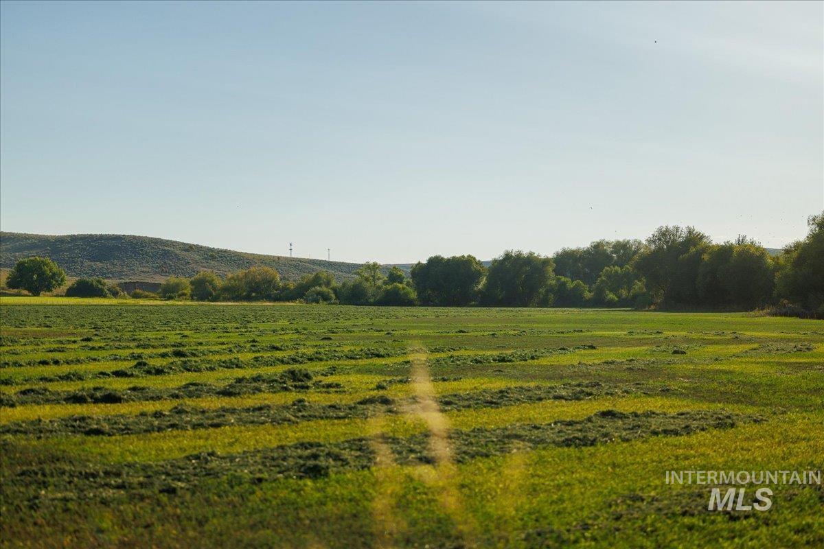 3127 Highway 95 Cambridge, ID 83610 - Photo 12 of 49 View of undeveloped land featuring rural landscape