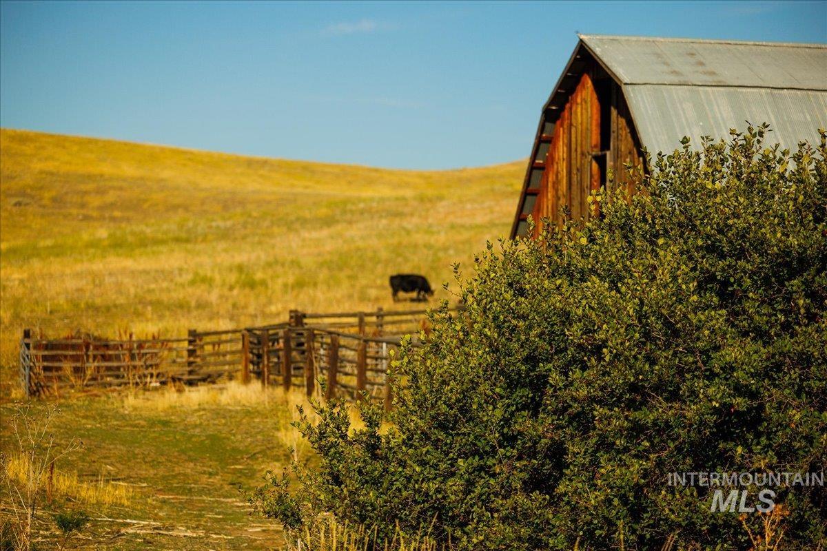 3127 Highway 95 Cambridge, ID 83610 - Photo 15 of 49 View of yard with a view of countryside and a barn