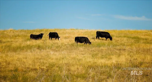 $7,450,000 | 3127 Highway 95, Cambridge, ID 83610