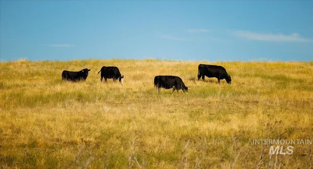 $7,450,000 | 3127 Highway 95, Cambridge, ID 83610