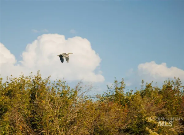 $7,450,000 | 3127 Highway 95, Cambridge, ID 83610