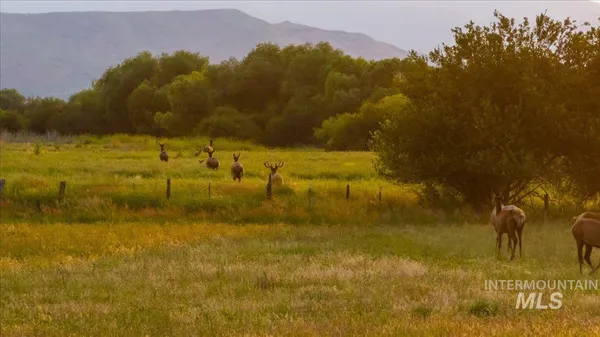 $7,450,000 | 3127 Highway 95, Cambridge, ID 83610