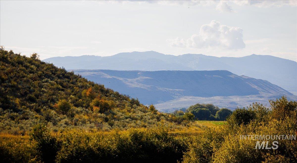 3127 Highway 95 Cambridge, ID 83610 - Photo 26 of 49 View of mountain background featuring a forest