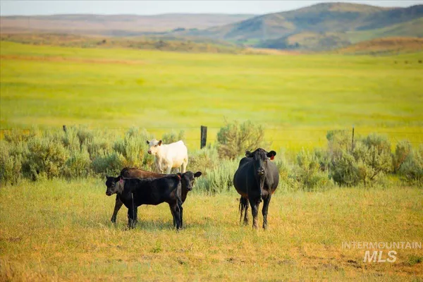 $7,450,000 | 3127 Highway 95, Cambridge, ID 83610