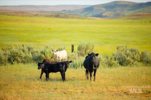 $7,450,000 | 3127 Highway 95, Cambridge, ID 83610