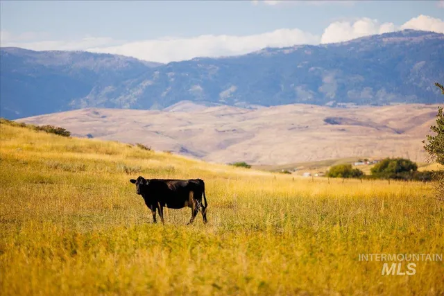 $7,450,000 | 3127 Highway 95, Cambridge, ID 83610