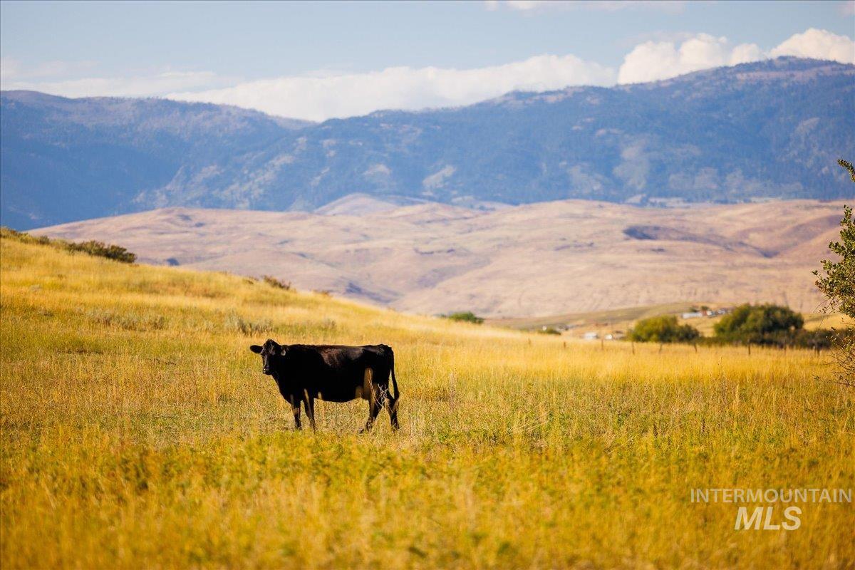 3127 Highway 95 Cambridge, ID 83610 - Photo 30 of 49 View of mountain backdrop featuring rural landscape