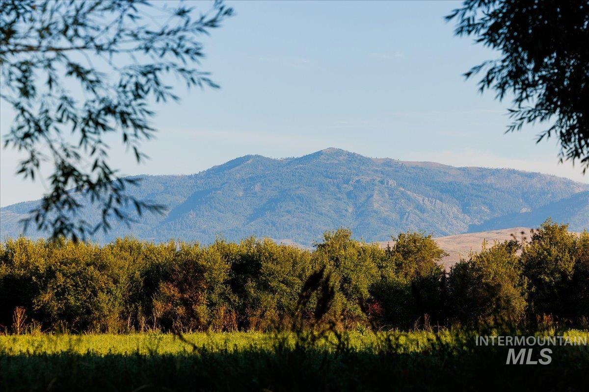 3127 Highway 95 Cambridge, ID 83610 - Photo 31 of 49 Mountain view