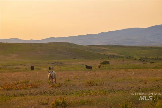 $7,450,000 | 3127 Highway 95, Cambridge, ID 83610