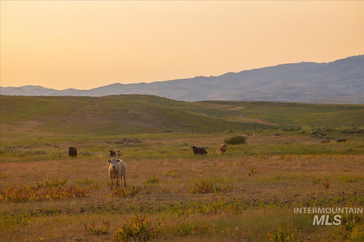 3127 Highway 95 Cambridge, ID 83610 - Photo 43 of 49 View of mountain background with rural landscape and a pastoral area