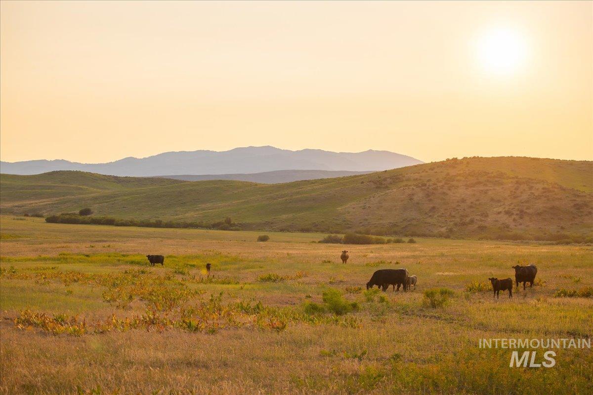 3127 Highway 95 Cambridge, ID 83610 - Photo 45 of 49 View of mountain backdrop featuring rural landscape and a pastoral area