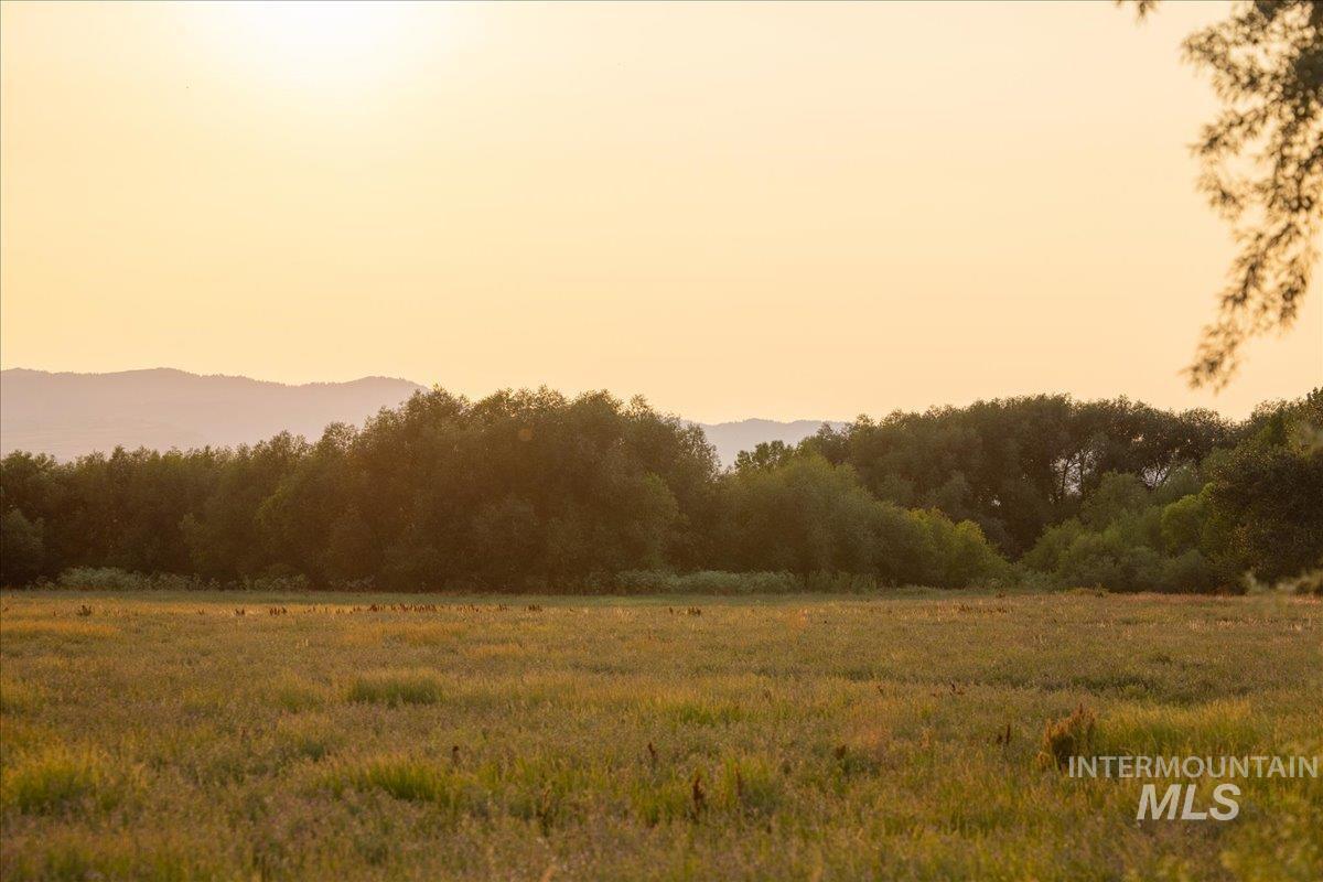 3127 Highway 95 Cambridge, ID 83610 - Photo 47 of 49 Nature at dusk with a wooded view and a view of rural / pastoral area