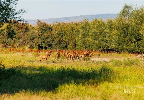 $7,450,000 | 3127 Highway 95, Cambridge, ID 83610