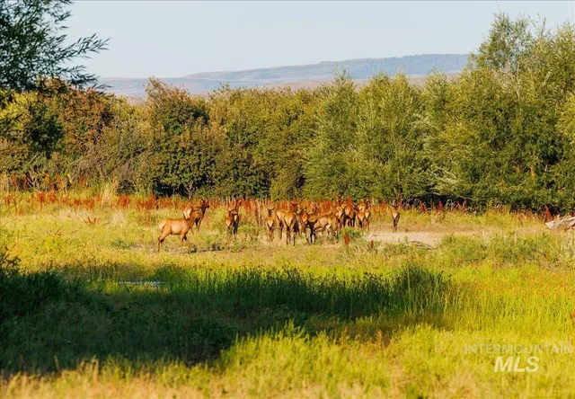 $7,450,000 | 3127 Highway 95, Cambridge, ID 83610