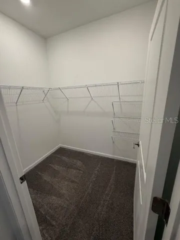 a view of storage and utility room with racks on the wall