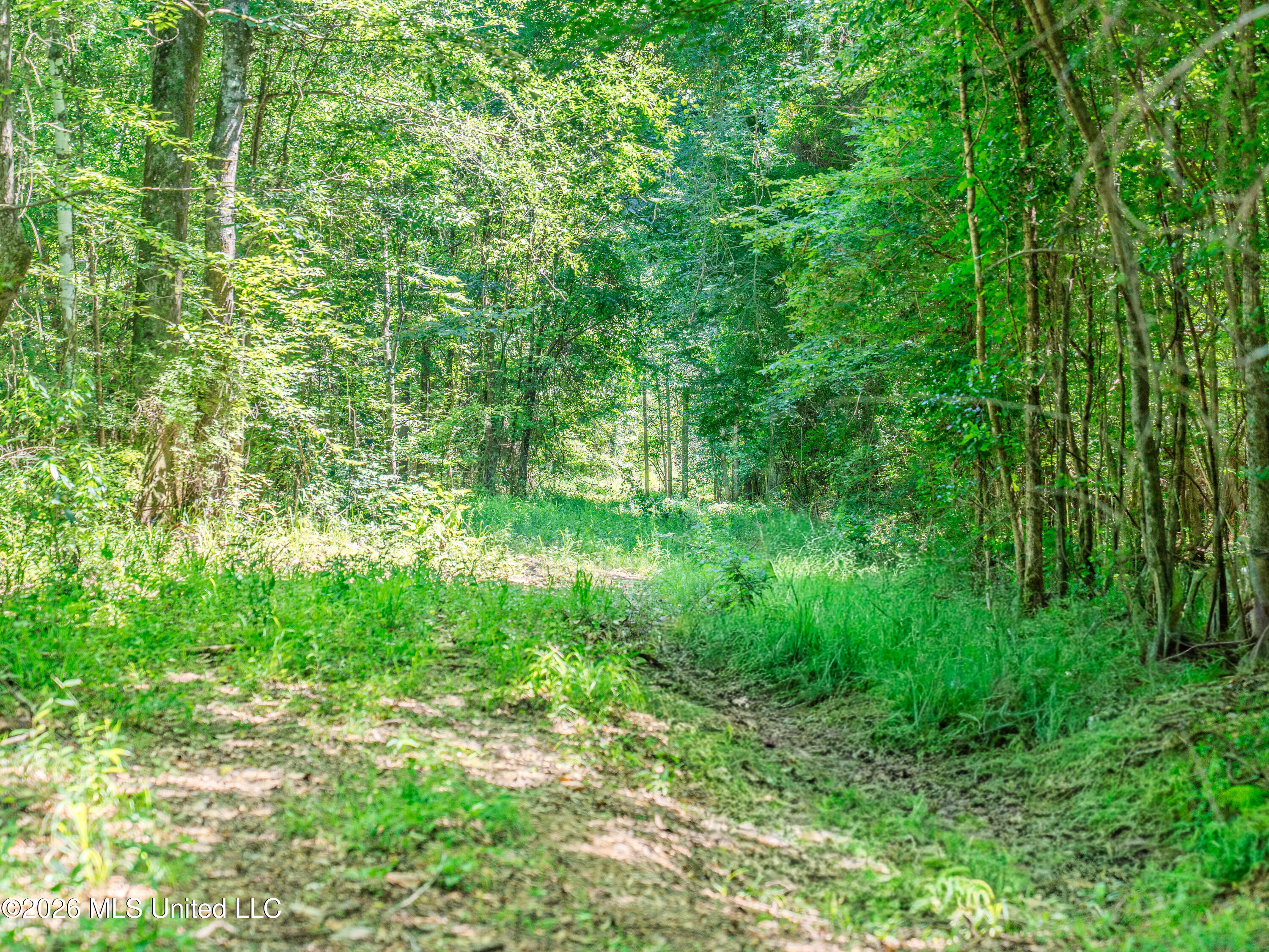 23 Co Road Bay Springs, MS 39422 - Photo 31 of 64 A7403782