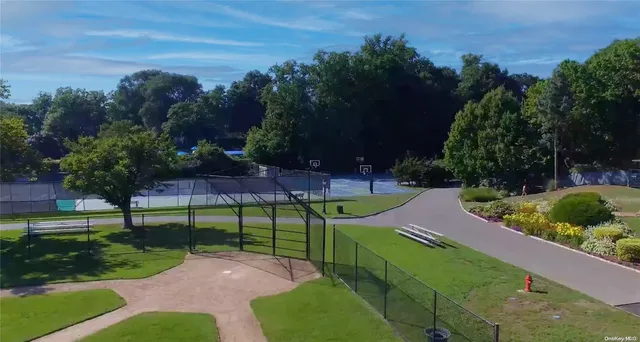 a view of a park with large trees