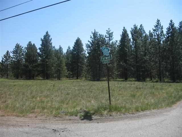 4200 East Farwell Road, Unit NEAR FARWELL & CUBA Mead, WA 99021 - Photo 1 of 4 Gallery Image 1