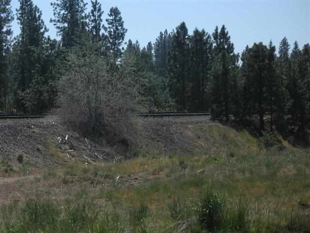 4200 East Farwell Road, Unit NEAR FARWELL & CUBA Mead, WA 99021 - Photo 4 of 4 Gallery Image 4