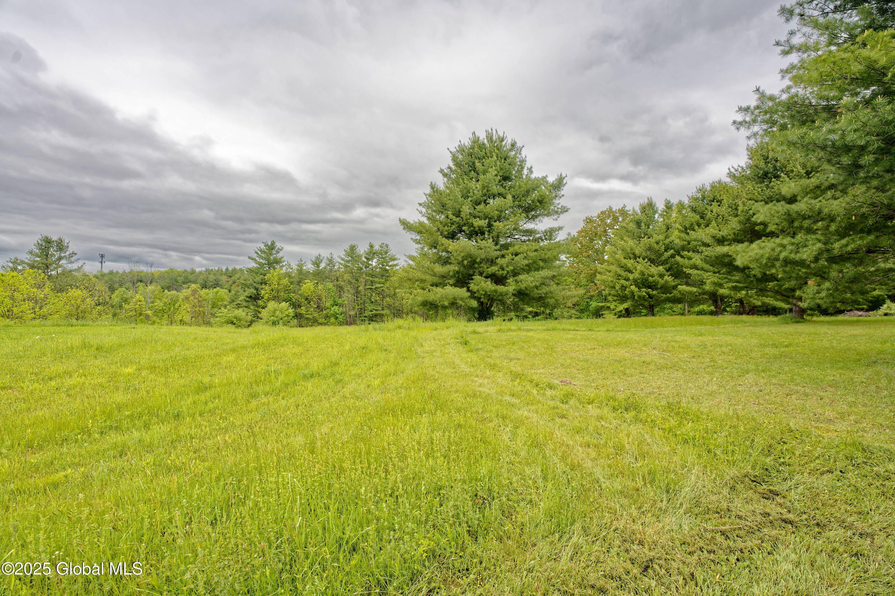 101 Groveside Road Pittstown, NY 12090 - Photo 52 of 53 Yard 14