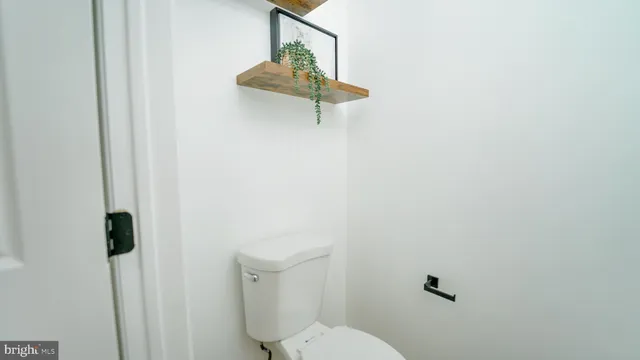a bathroom with a shower and a toilet