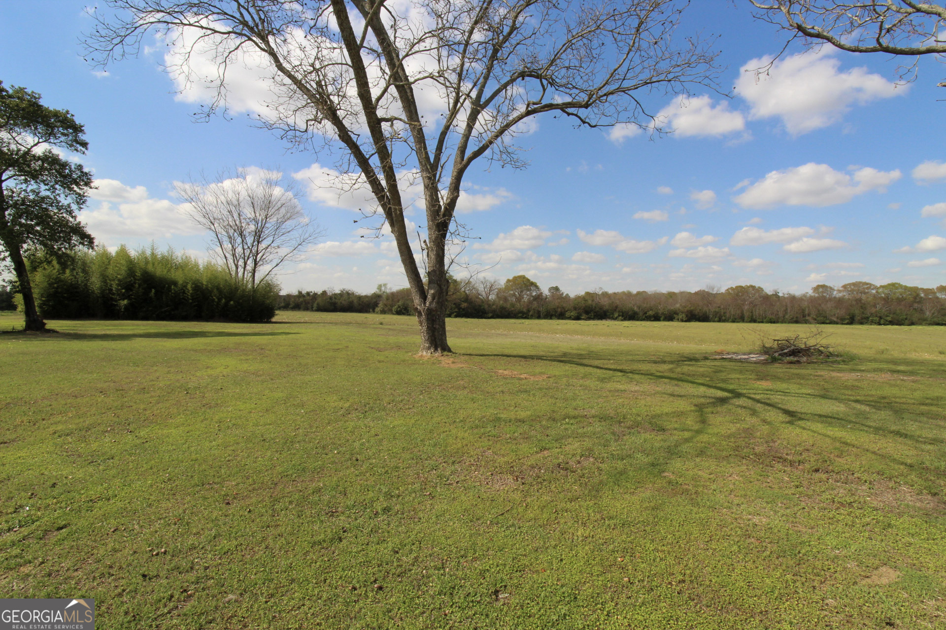 427 Pulaski High School Road Hawkinsville, GA 31036 - Photo 27 of 29