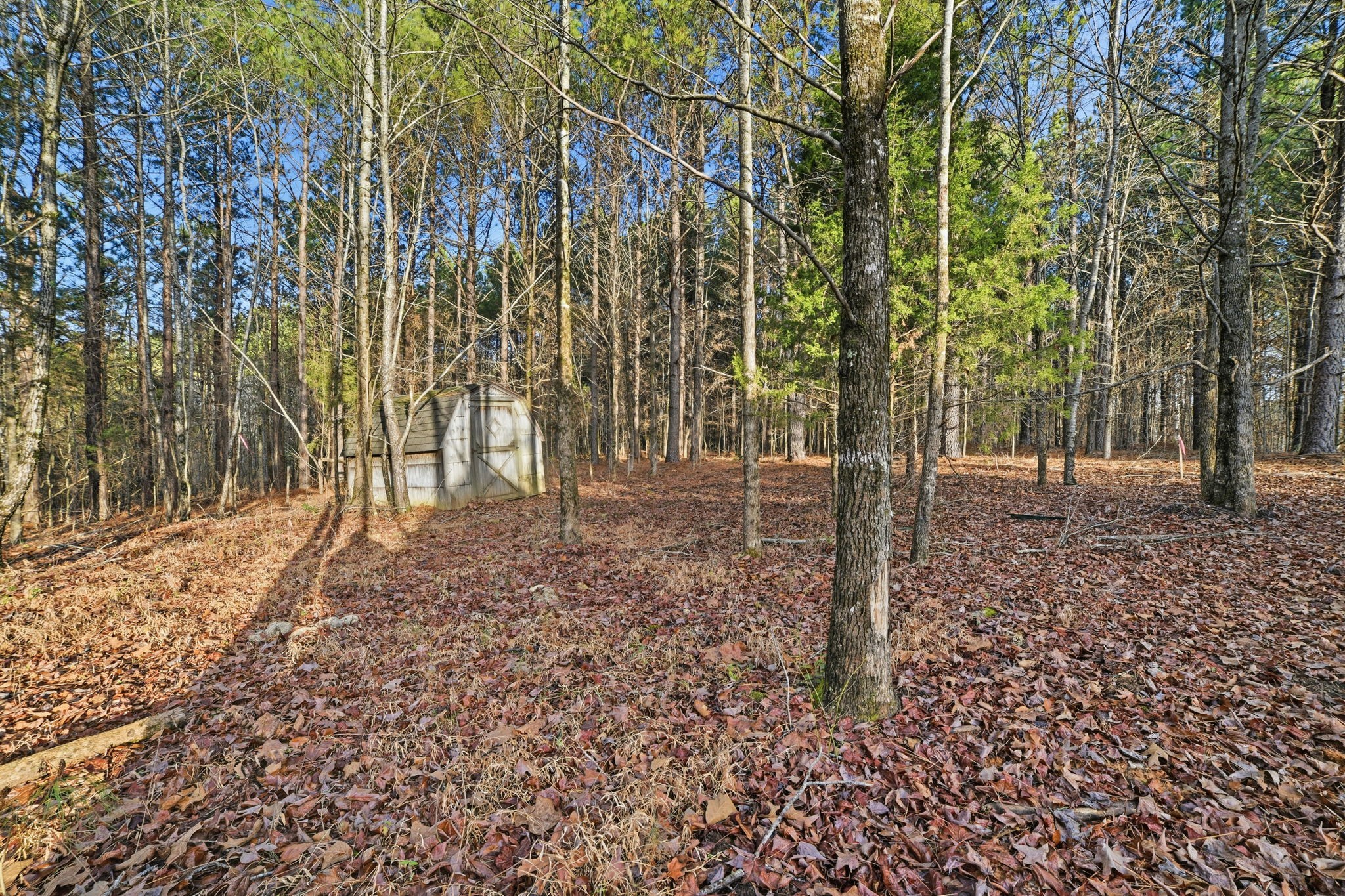 1770 Travis Boyd Road Mansfield, TN 38236 - Photo 28 of 29