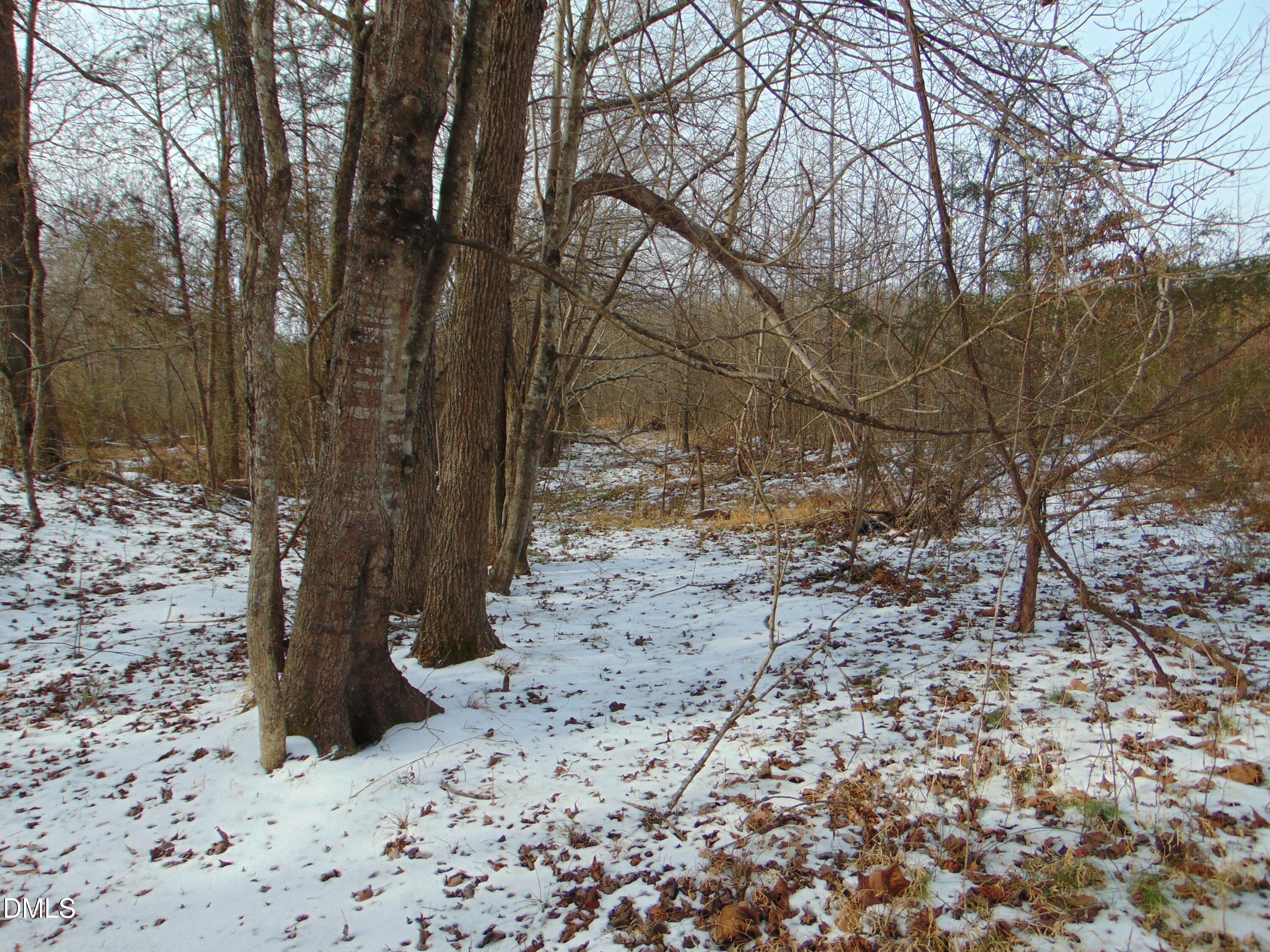 0 Oakley Road Cedar Grove, NC 27231 - Photo 30 of 31 DSC01354