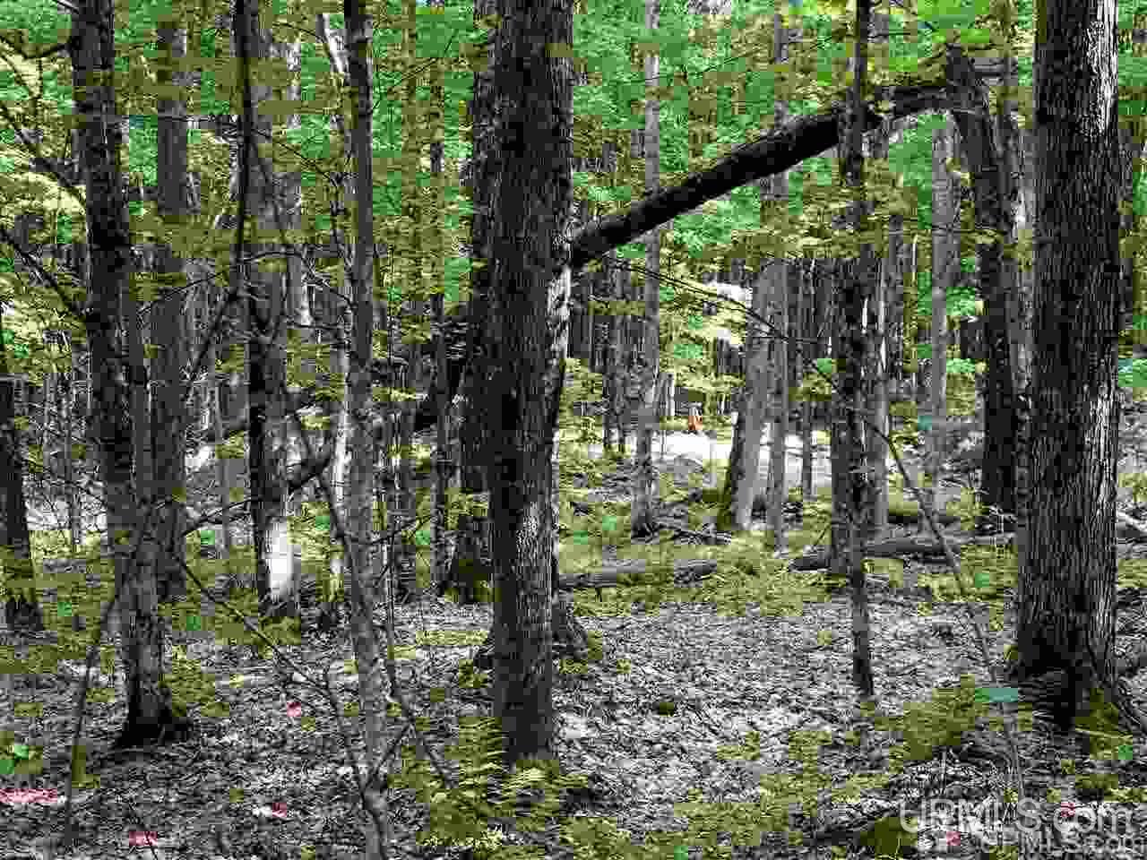 88-89 Blue Road Pelkie, MI 49958 - Photo 8 of 15
