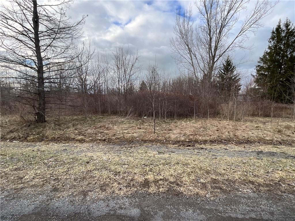 Archbald Road Waterport, NY 14571 - Photo 3 of 5 A view of the front.