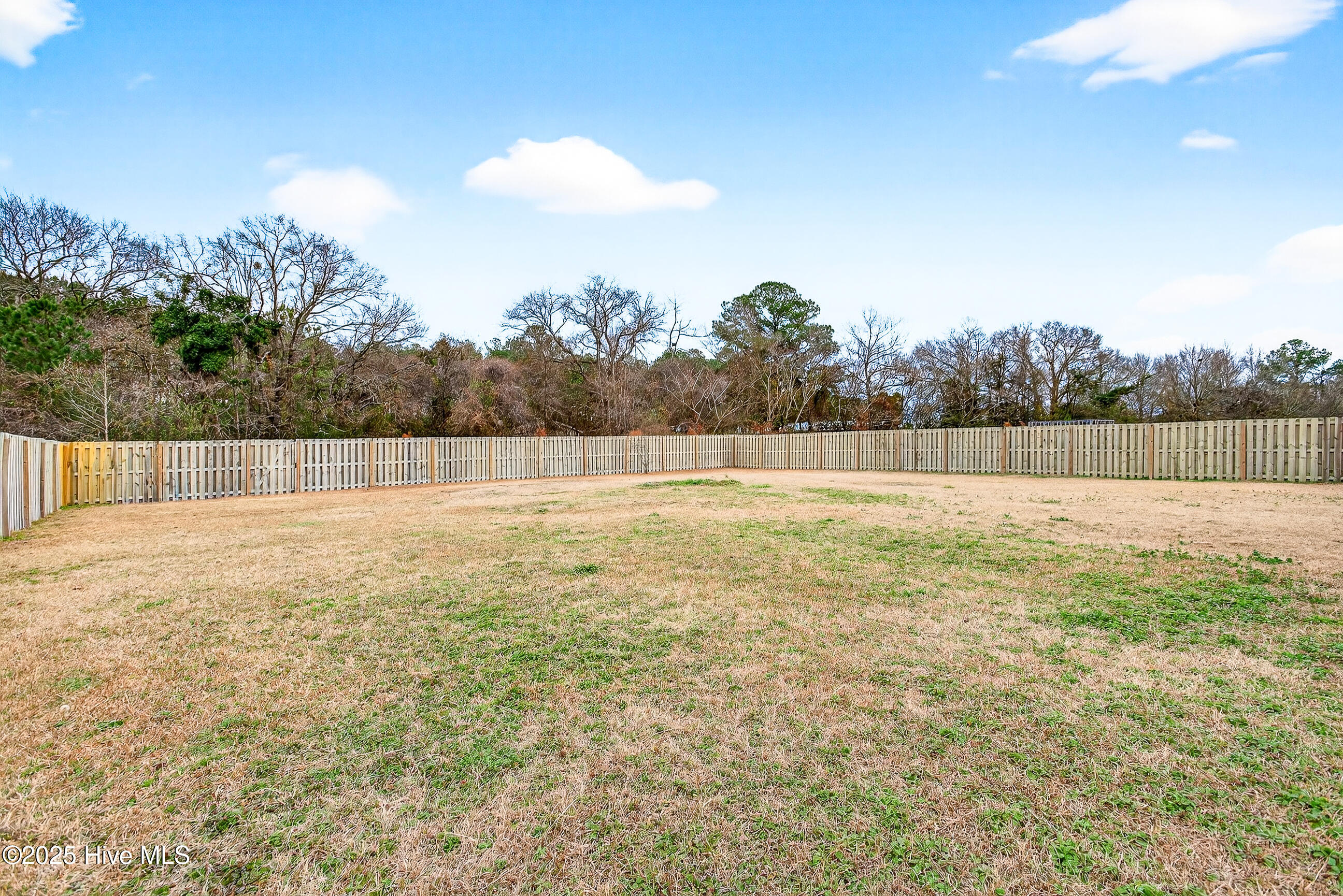 118 Burrell Lane Richlands, NC 28574 - Photo 25 of 29 backyard