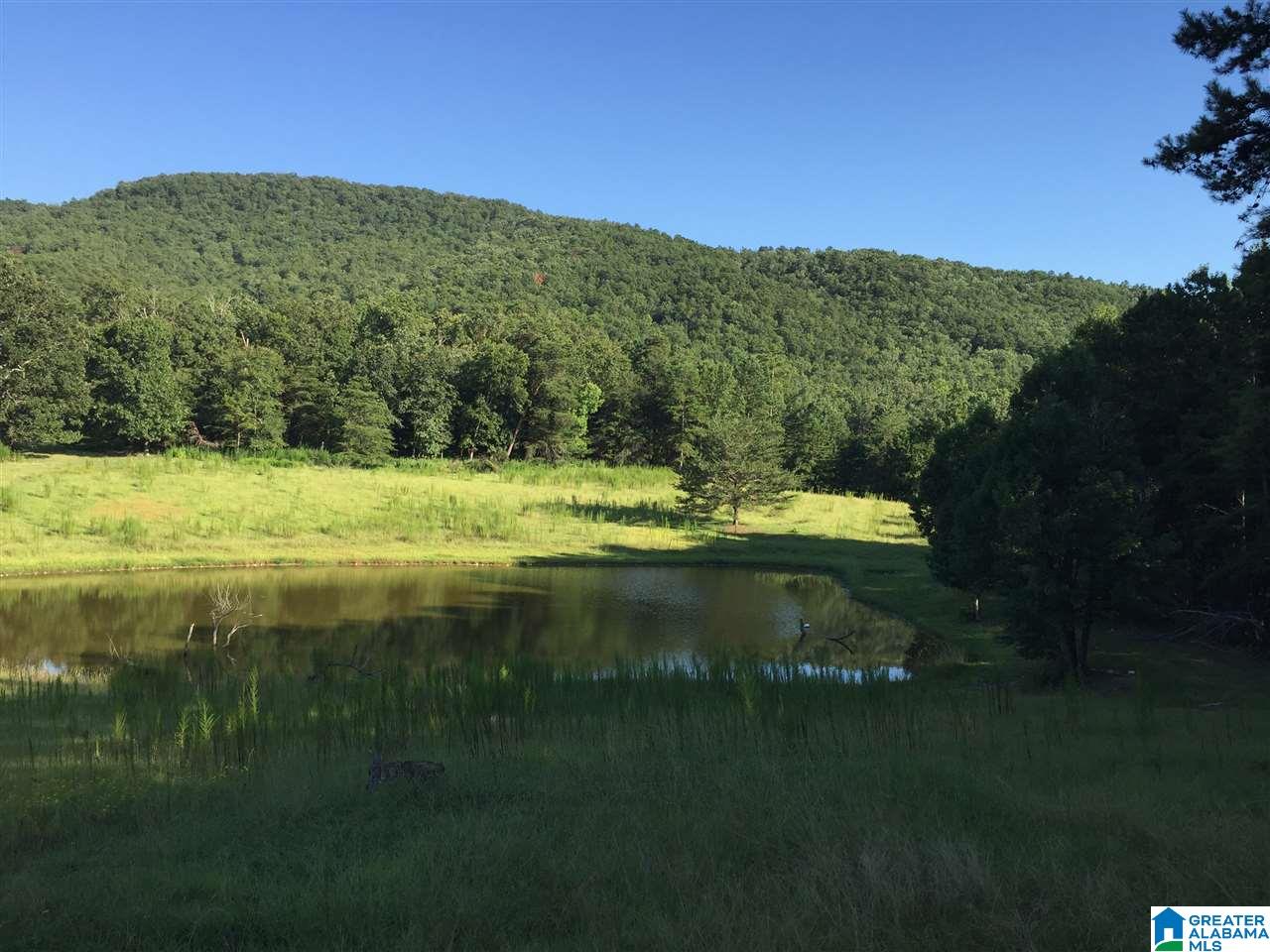 0 Valley Creek Road Piedmont, AL 36272 - Photo 17 of 28