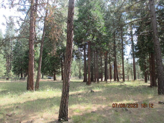 Lot 14 Freight Rd Lane Klamath Falls, OR 97601 - Photo 4 of 7 IMG_6893