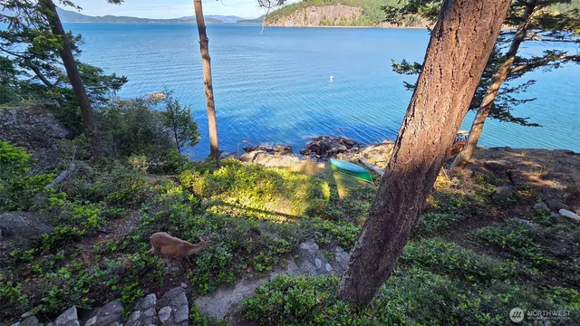 a backyard of a house with lots of plants and trees