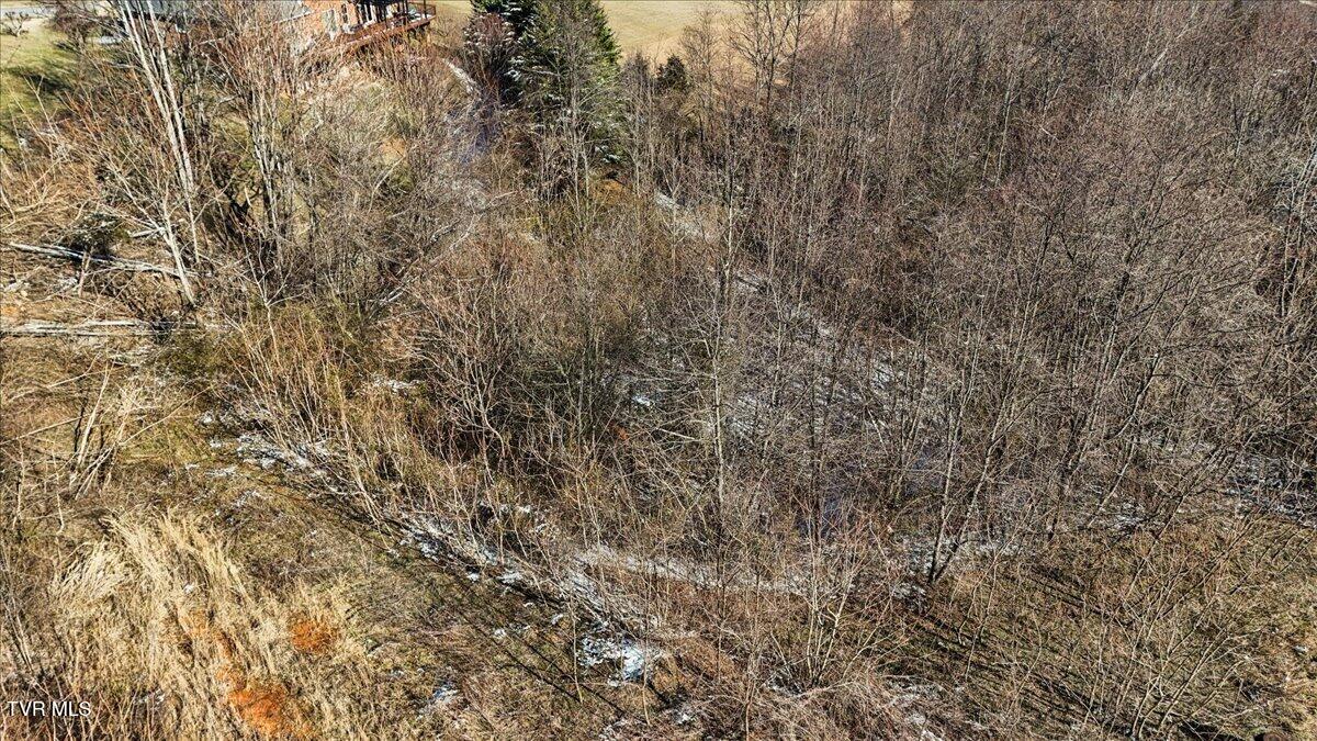 119 Simmons Ridge, Unit 7 Johnson City, TN 37604 - Photo 14 of 16 15-DJI_20250221150127_0460_D_1