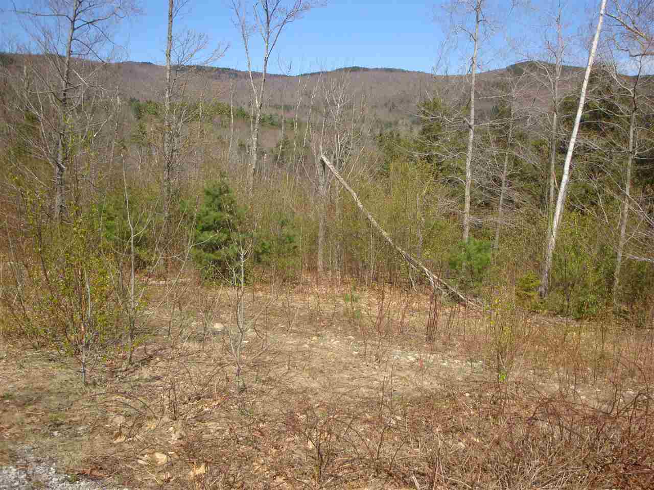 Lot 10 Old Fields Road Hebron, NH 03241 - Photo 2 of 9