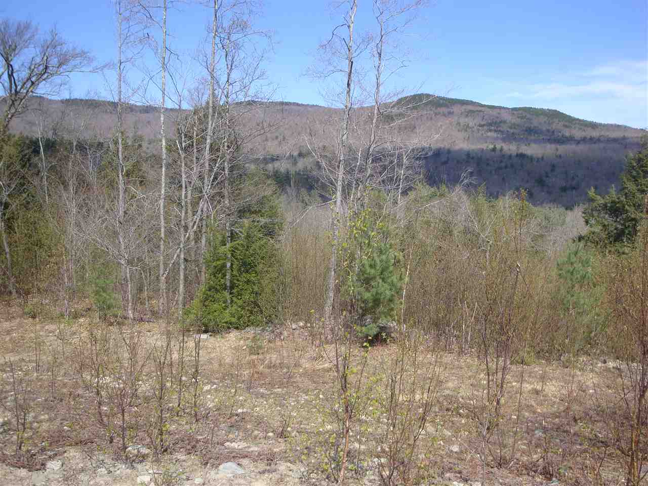Lot 10 Old Fields Road Hebron, NH 03241 - Photo 3 of 9