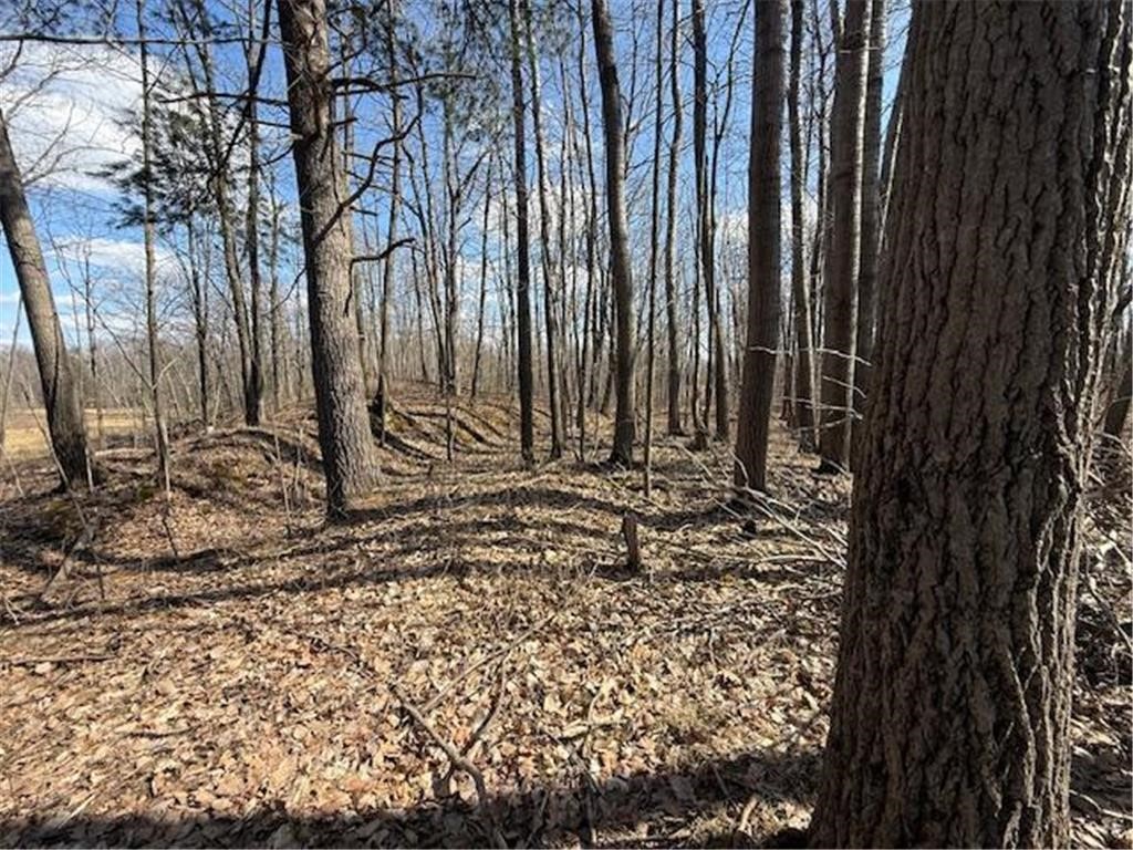 63 Barronett Wi 54871 Shell Lake, WI 54871 - Photo 23 of 24