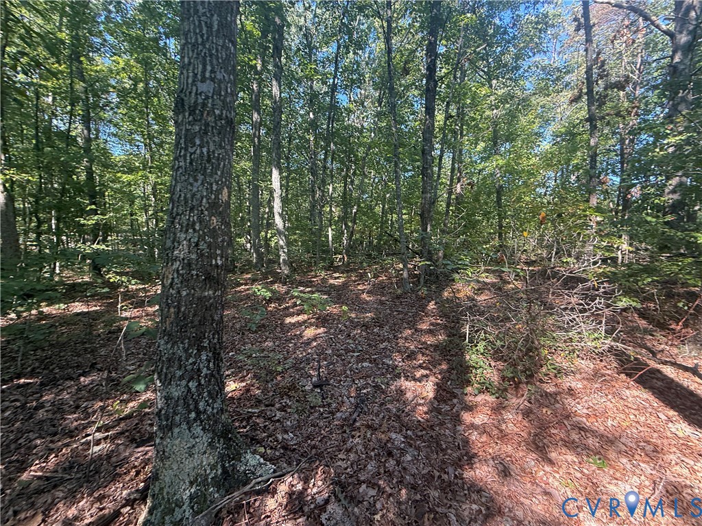 Lot 5 Dixie Hill Road Dillwyn, VA 23936 - Photo 4 of 5 Gallery Image 4