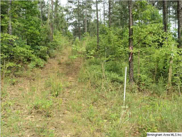 485 County Road, Unit 110 Clanton, AL 35046 - Photo 3 of 22