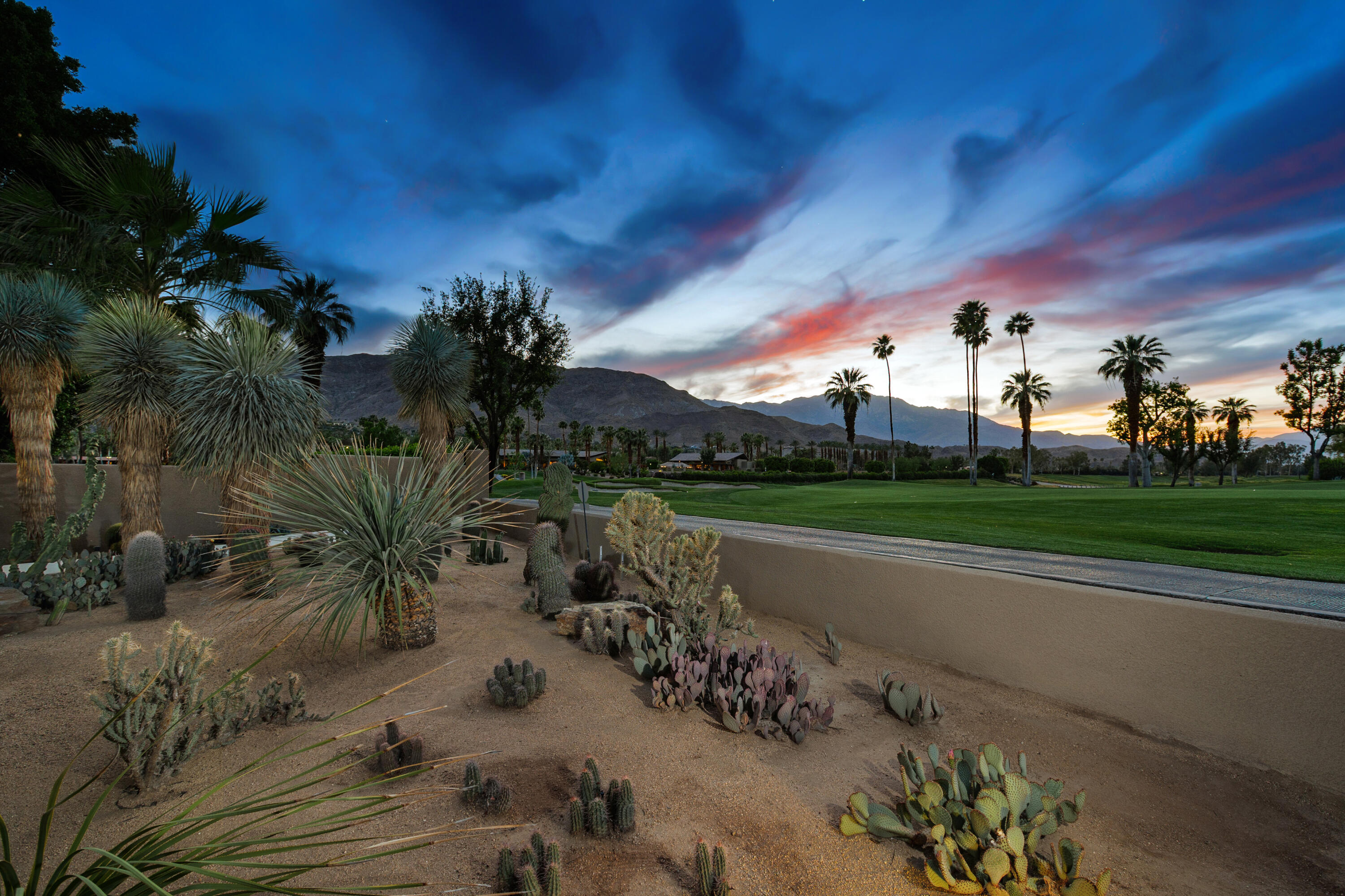 40231 Club View Drive Rancho Mirage, CA 92270 - Photo 39 of 53 a view of a yard with palm tree