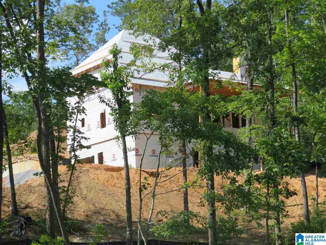 1100 Preserve Road Rockford, AL 35136 - Photo 10 of 18