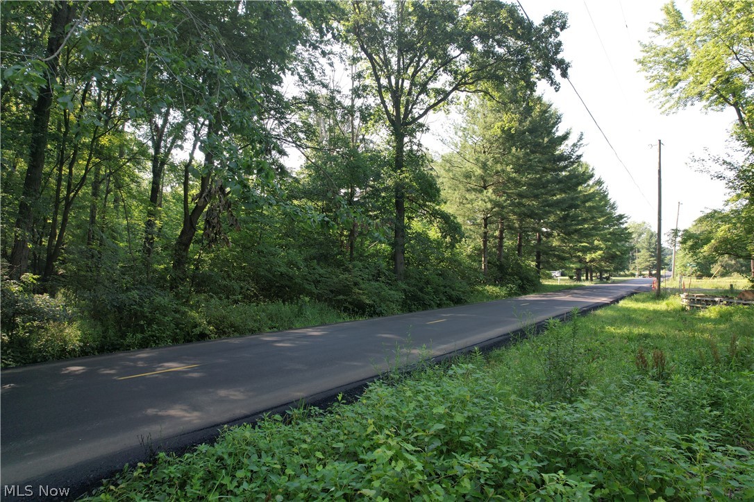 North Mahoning Portage County Line Road Lake Milton, OH 44429 - Photo 14 of 15 Gallery Image 14